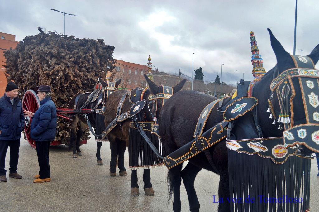 ob.imagen.Descripcion