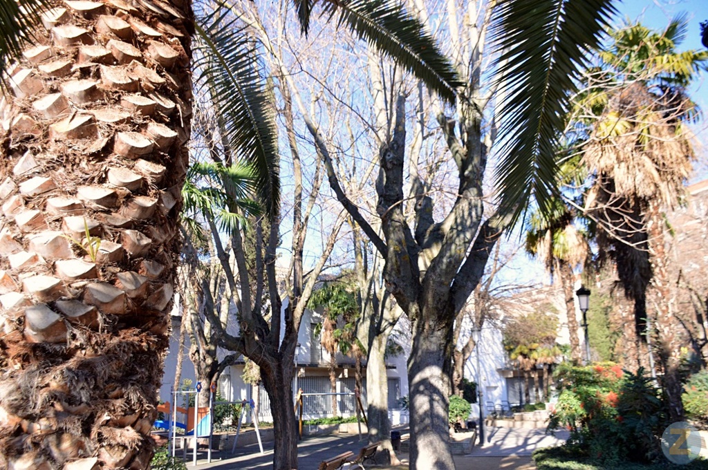 ob.imagen.Descripcion