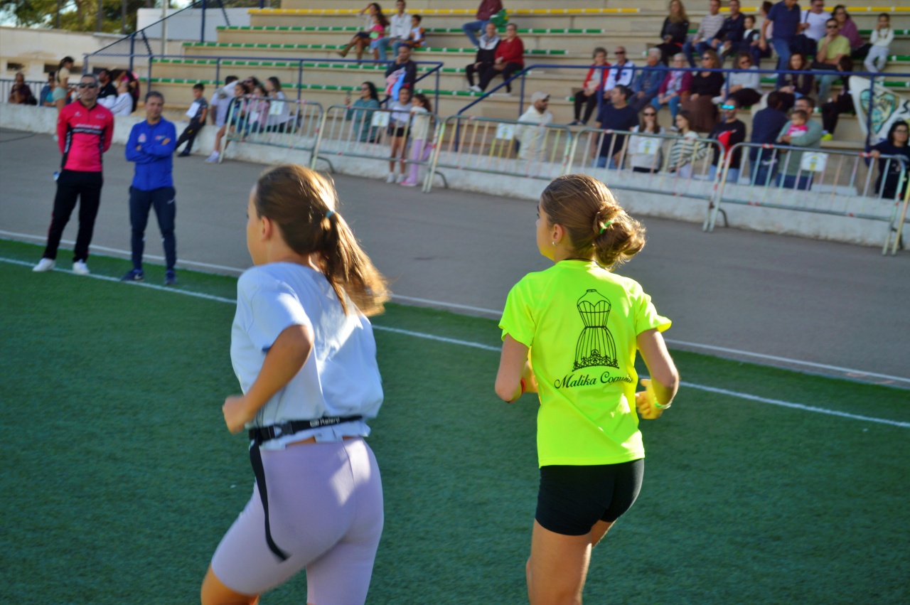 ob.imagen.Descripcion