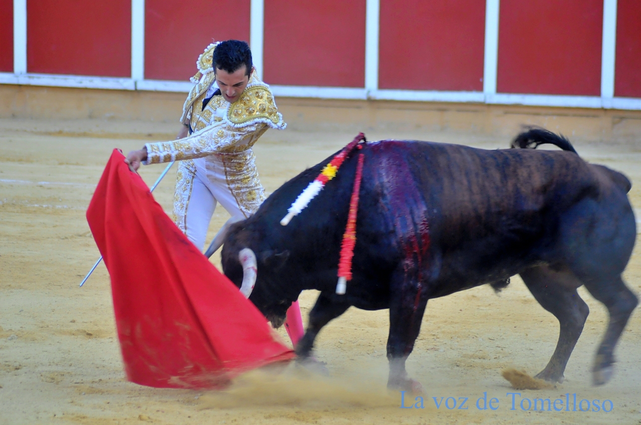 ob.imagen.Descripcion
