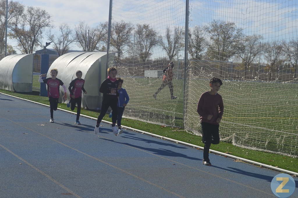 ob.imagen.Descripcion