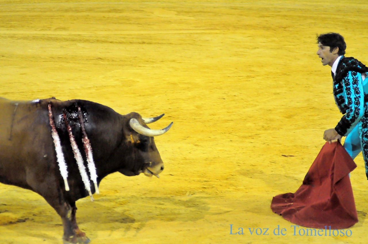 ob.imagen.Descripcion