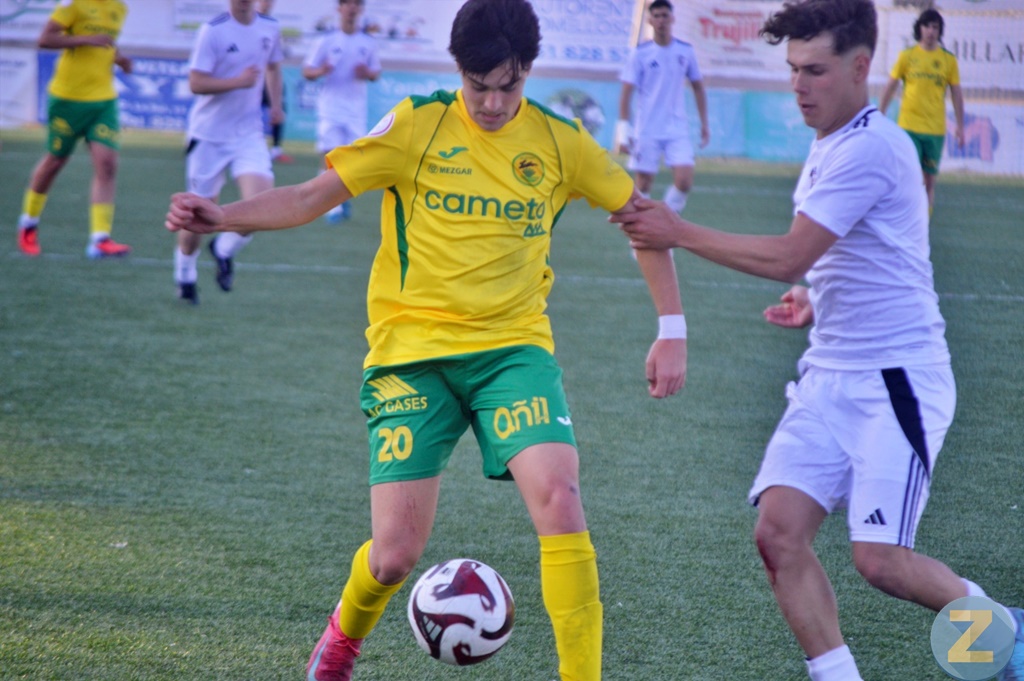 ob.imagen.Descripcion