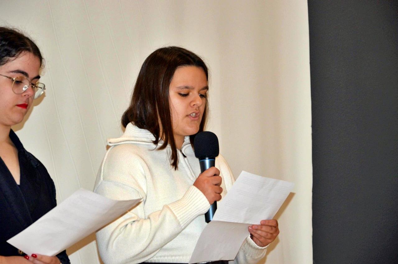 ob.imagen.Descripcion