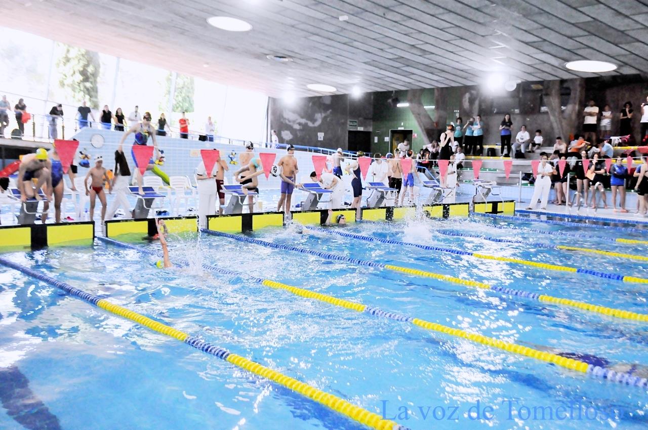 ob.imagen.Descripcion