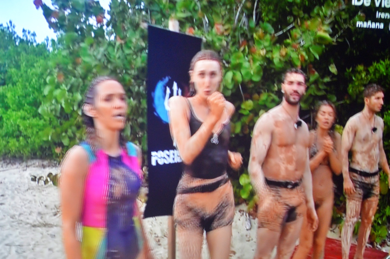 ob.imagen.Descripcion