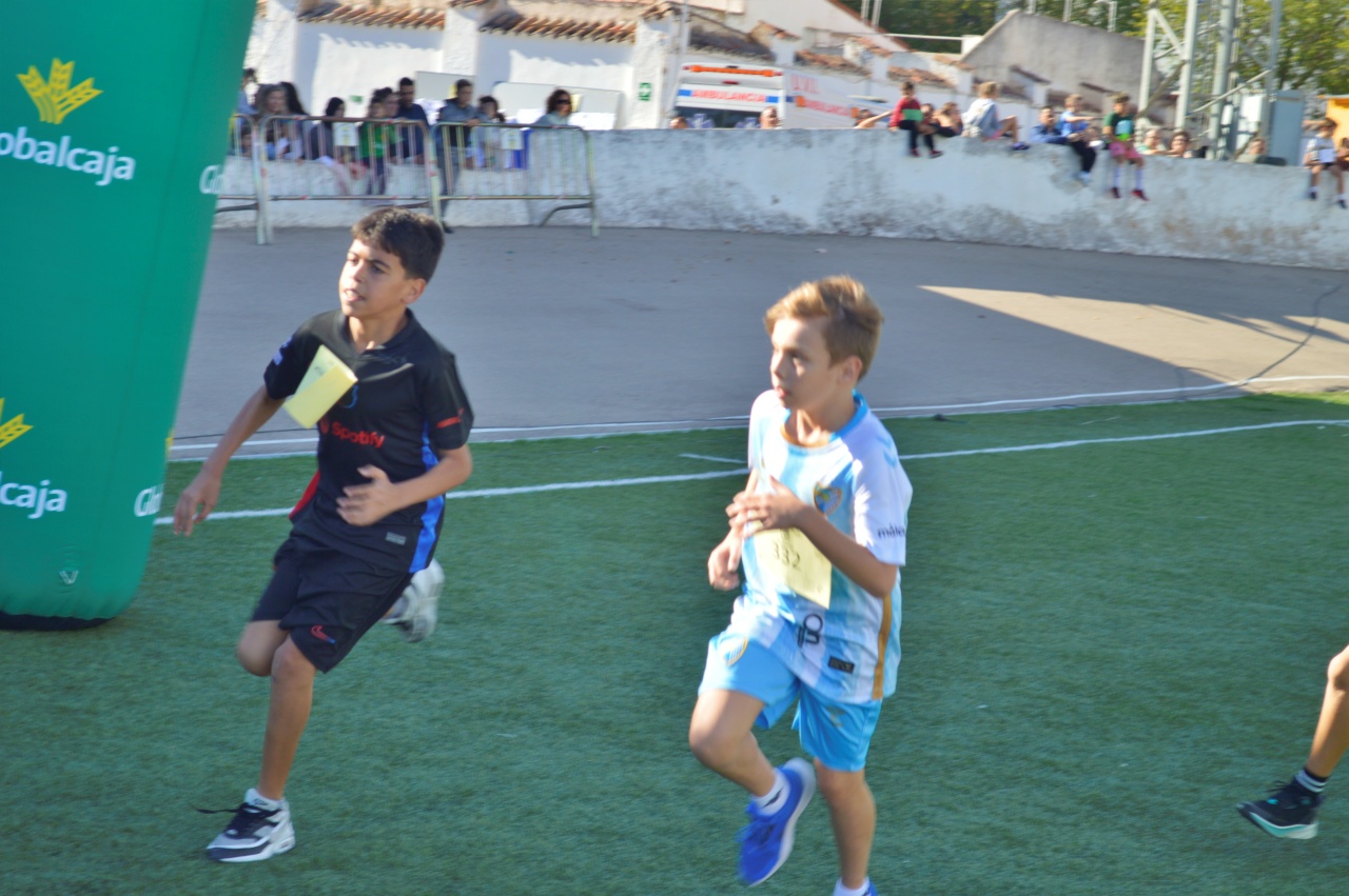 ob.imagen.Descripcion