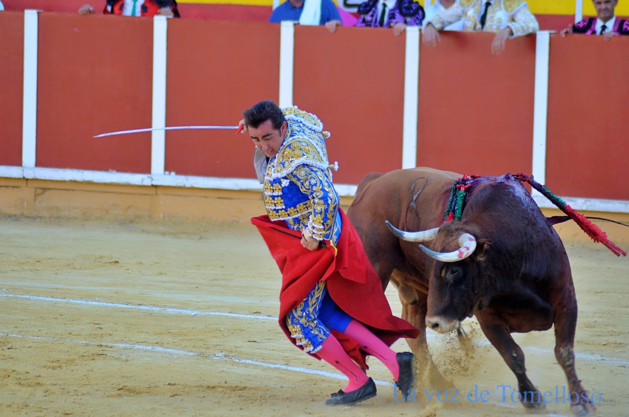ob.imagen.Descripcion
