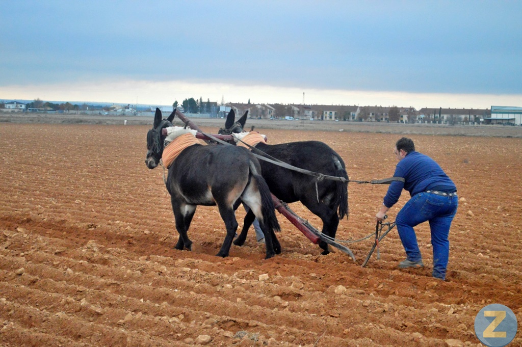ob.imagen.Descripcion
