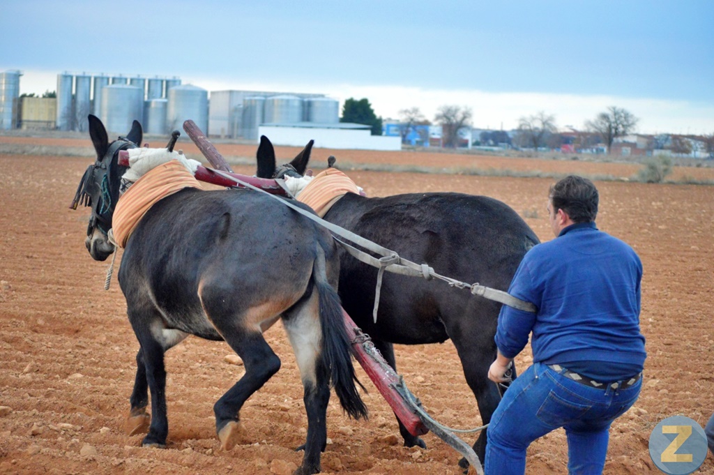 ob.imagen.Descripcion