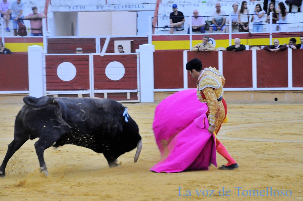 ob.imagen.Descripcion
