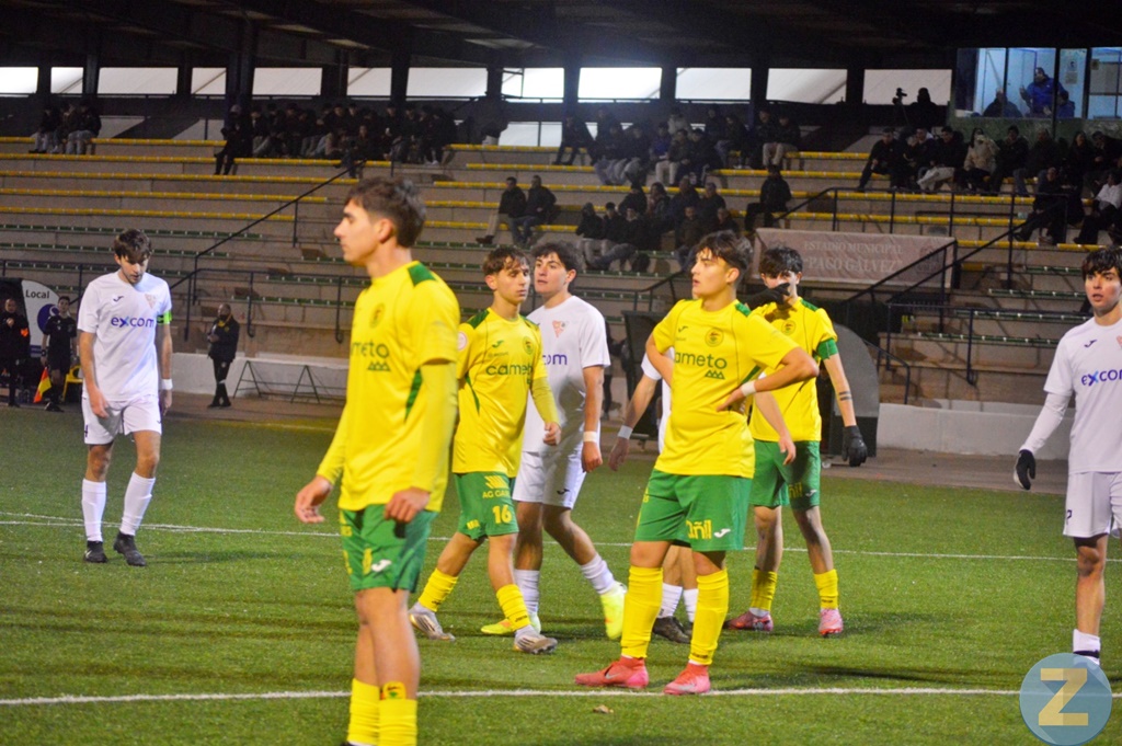 ob.imagen.Descripcion