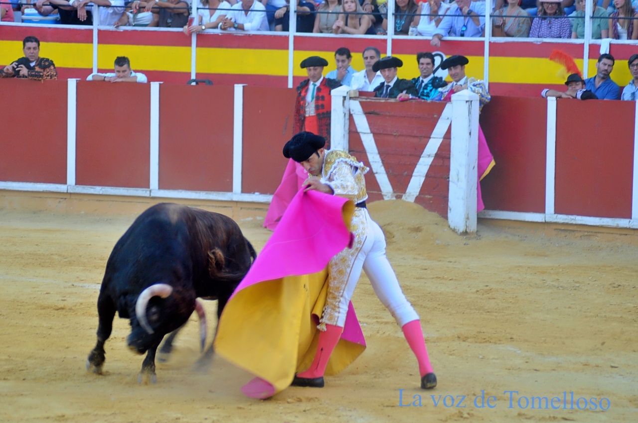 ob.imagen.Descripcion