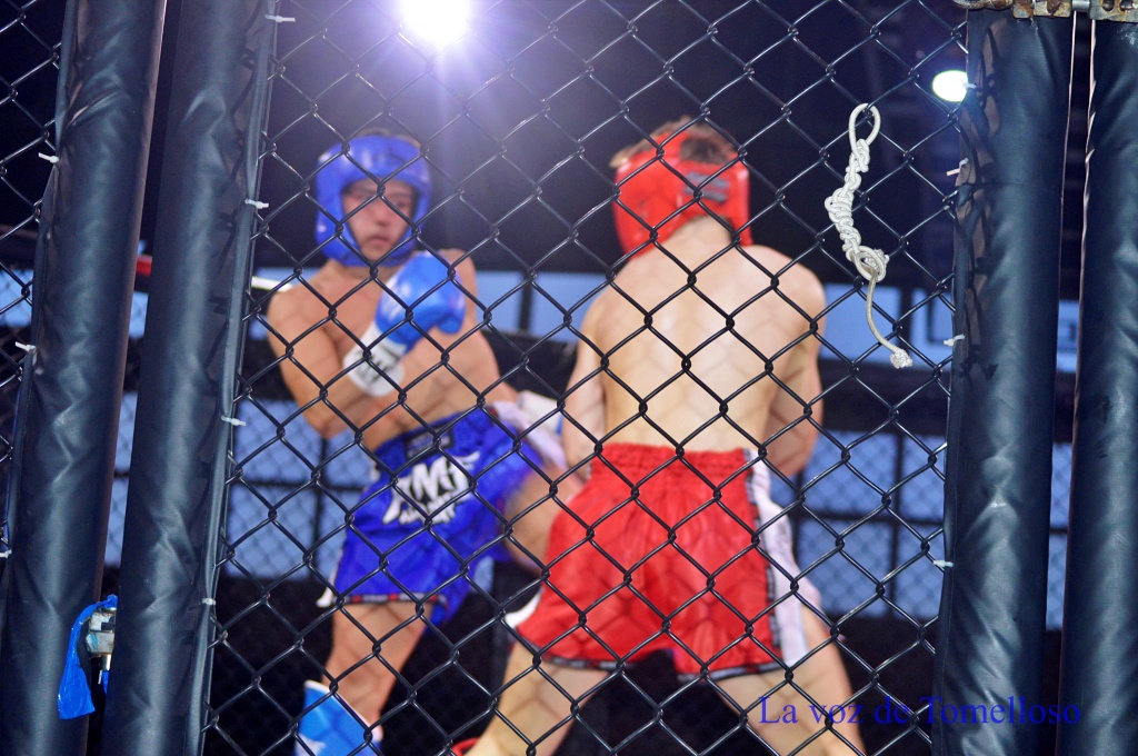 ob.imagen.Descripcion