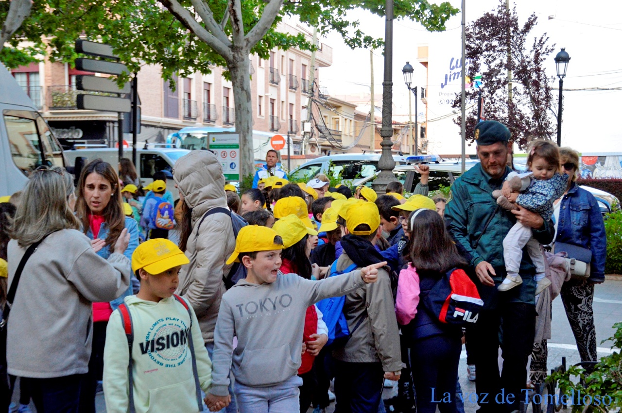 ob.imagen.Descripcion