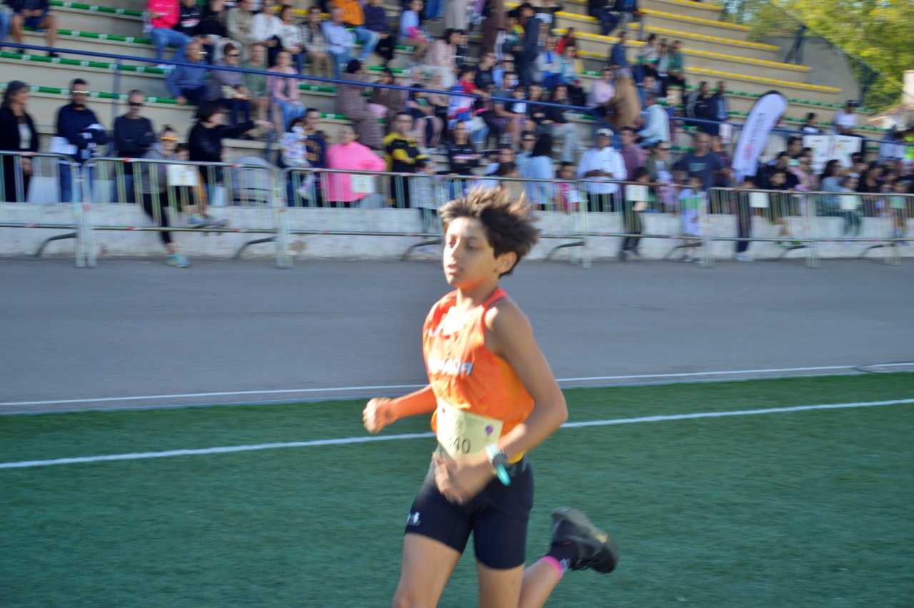 ob.imagen.Descripcion