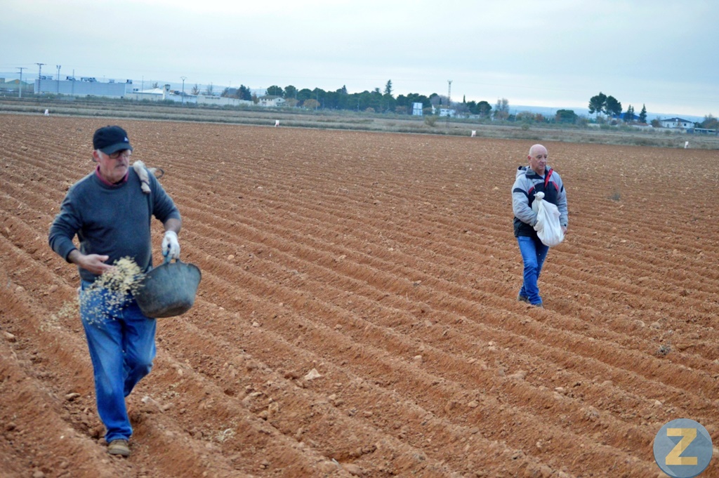 ob.imagen.Descripcion