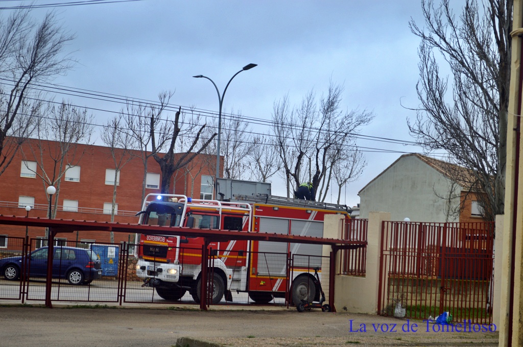 ob.imagen.Descripcion