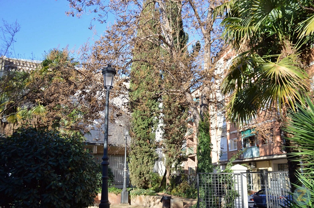 ob.imagen.Descripcion