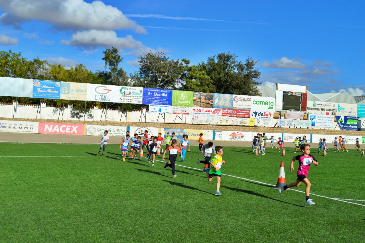 ob.imagen.Descripcion