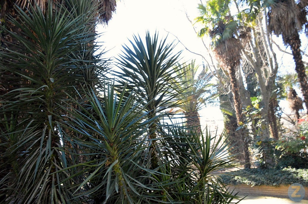 ob.imagen.Descripcion