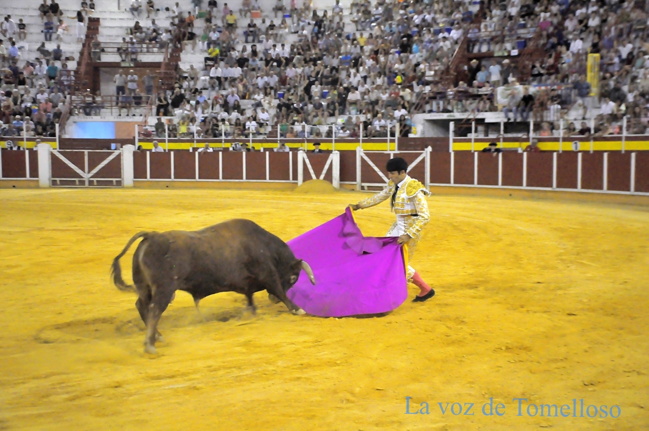 ob.imagen.Descripcion