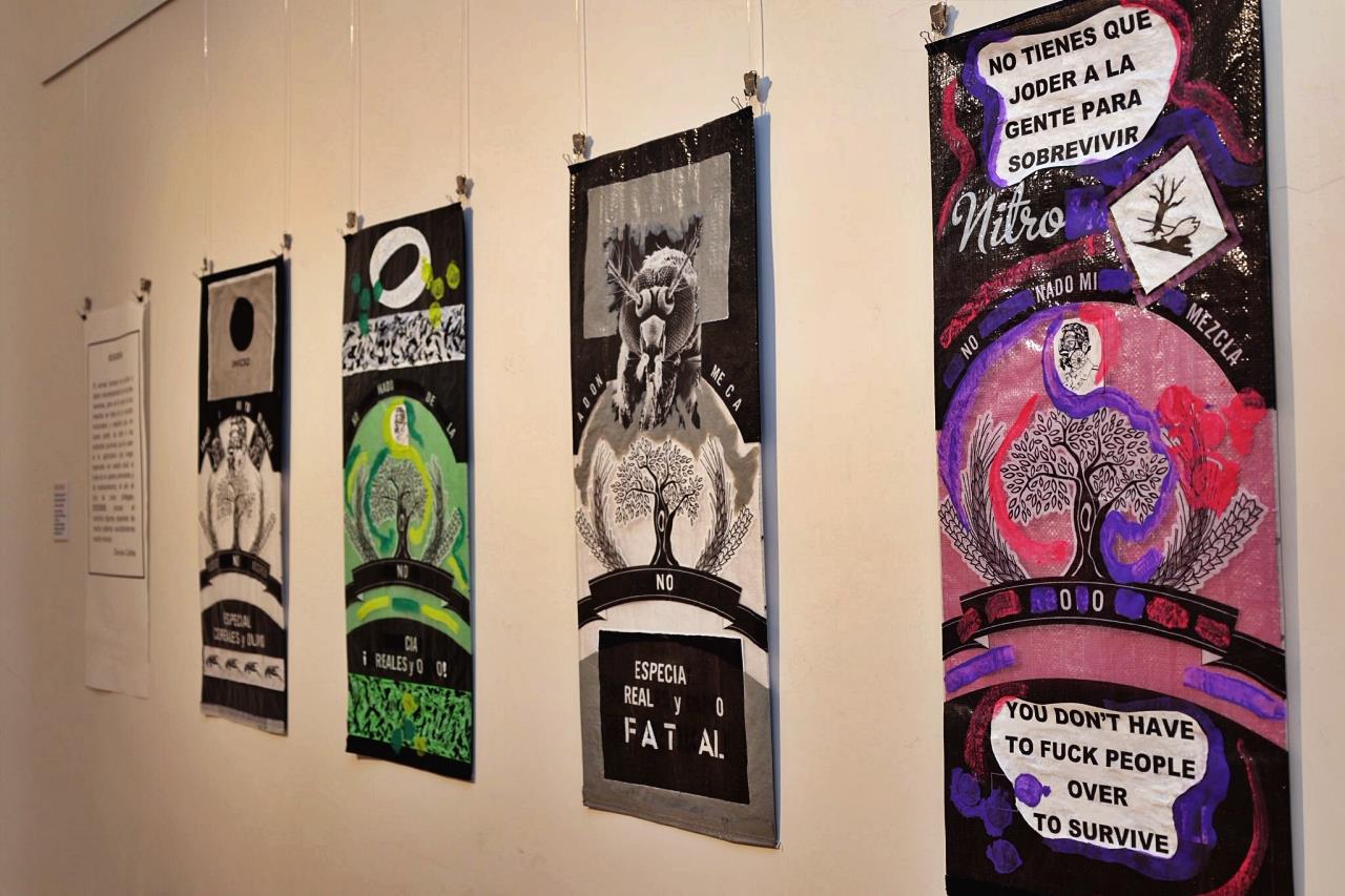 ob.imagen.Descripcion