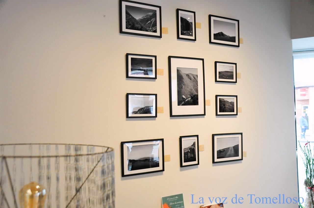 ob.imagen.Descripcion