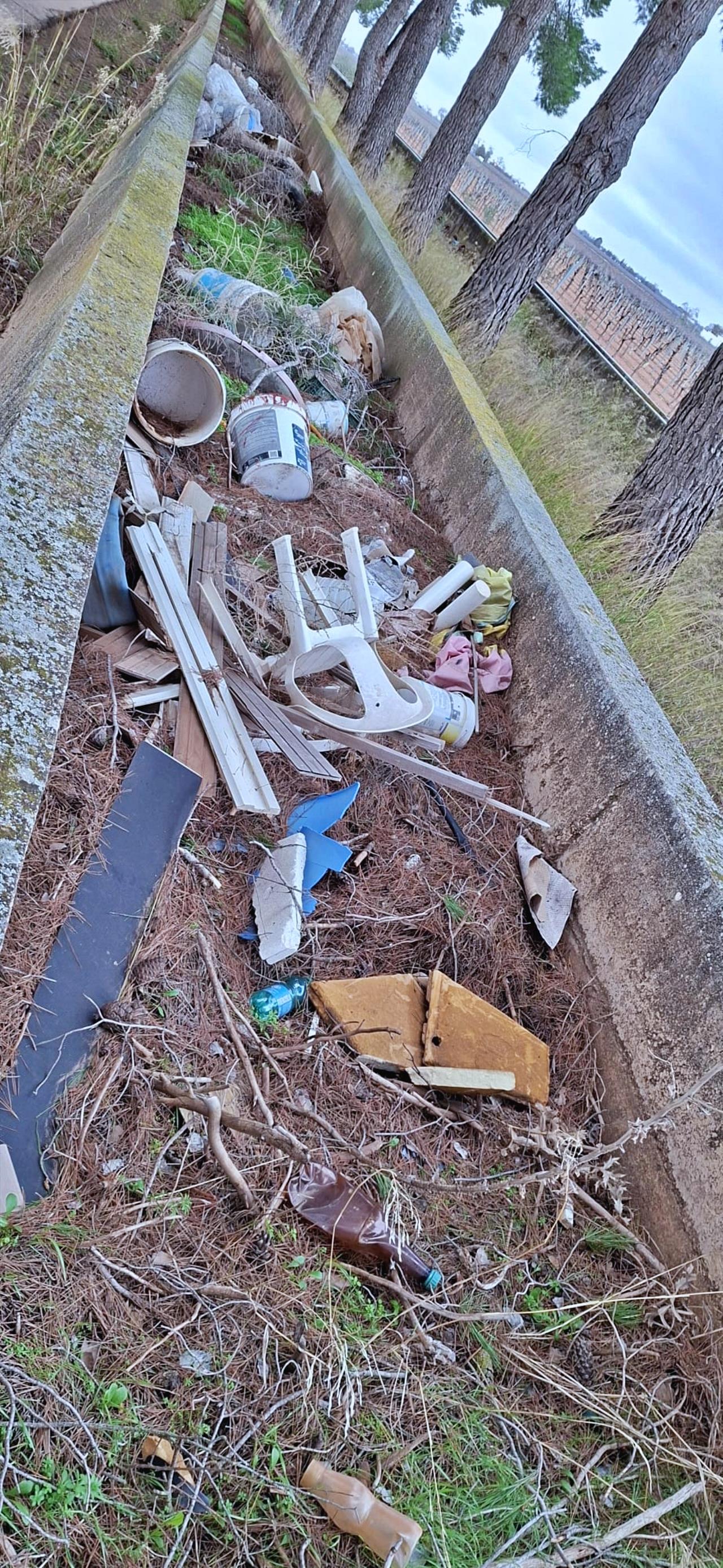 ob.imagen.Descripcion