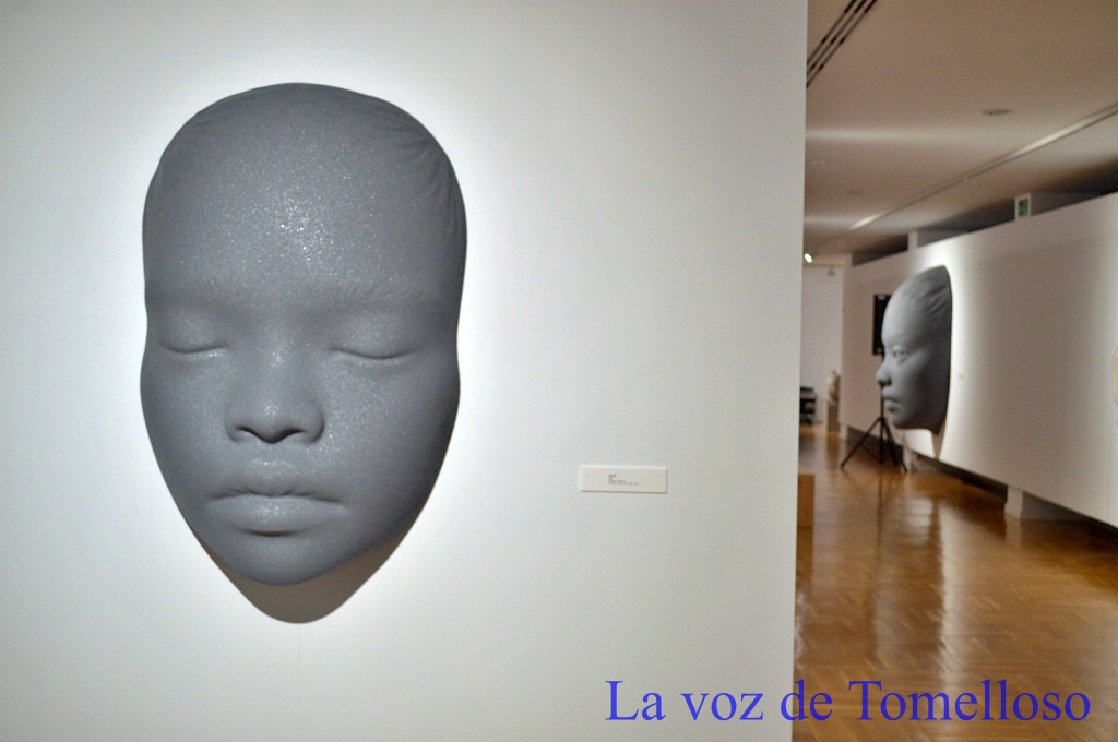ob.imagen.Descripcion