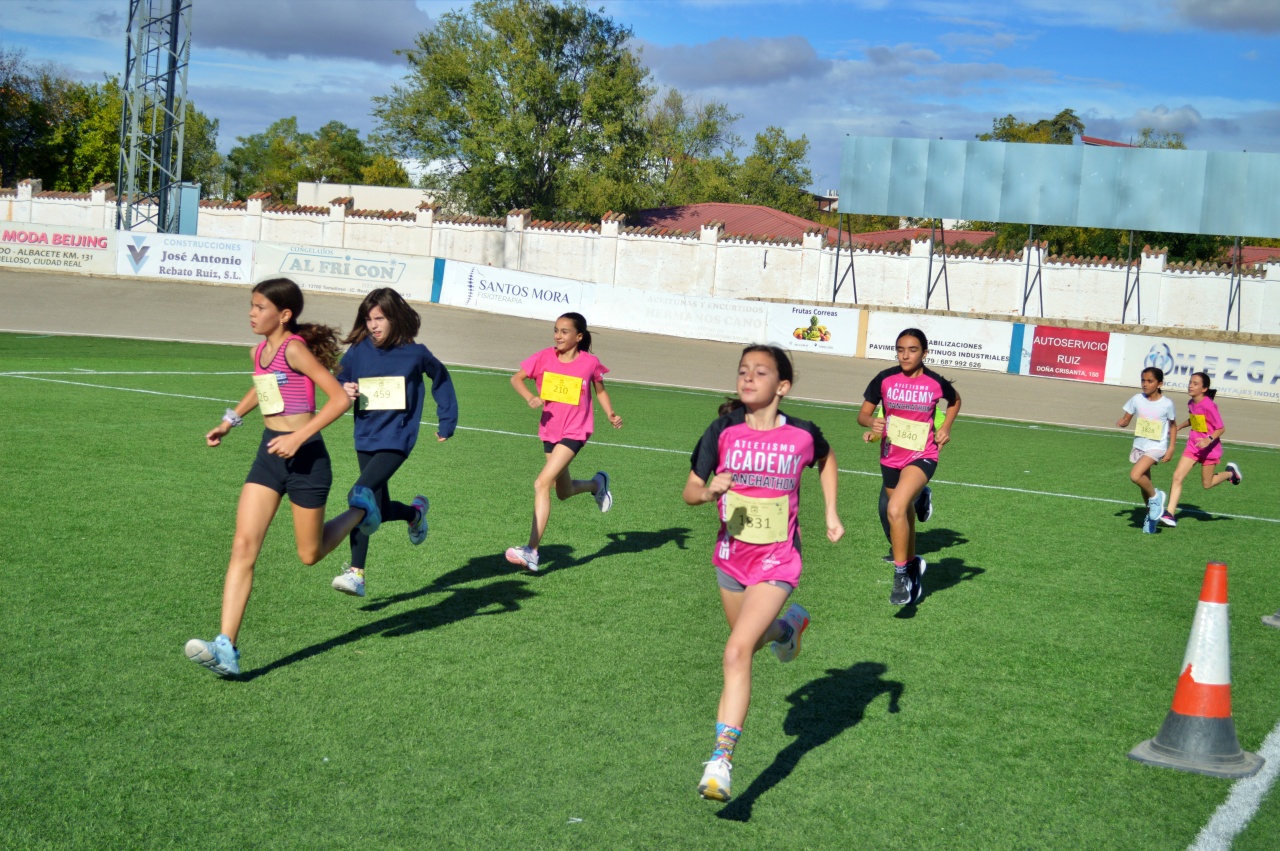 ob.imagen.Descripcion