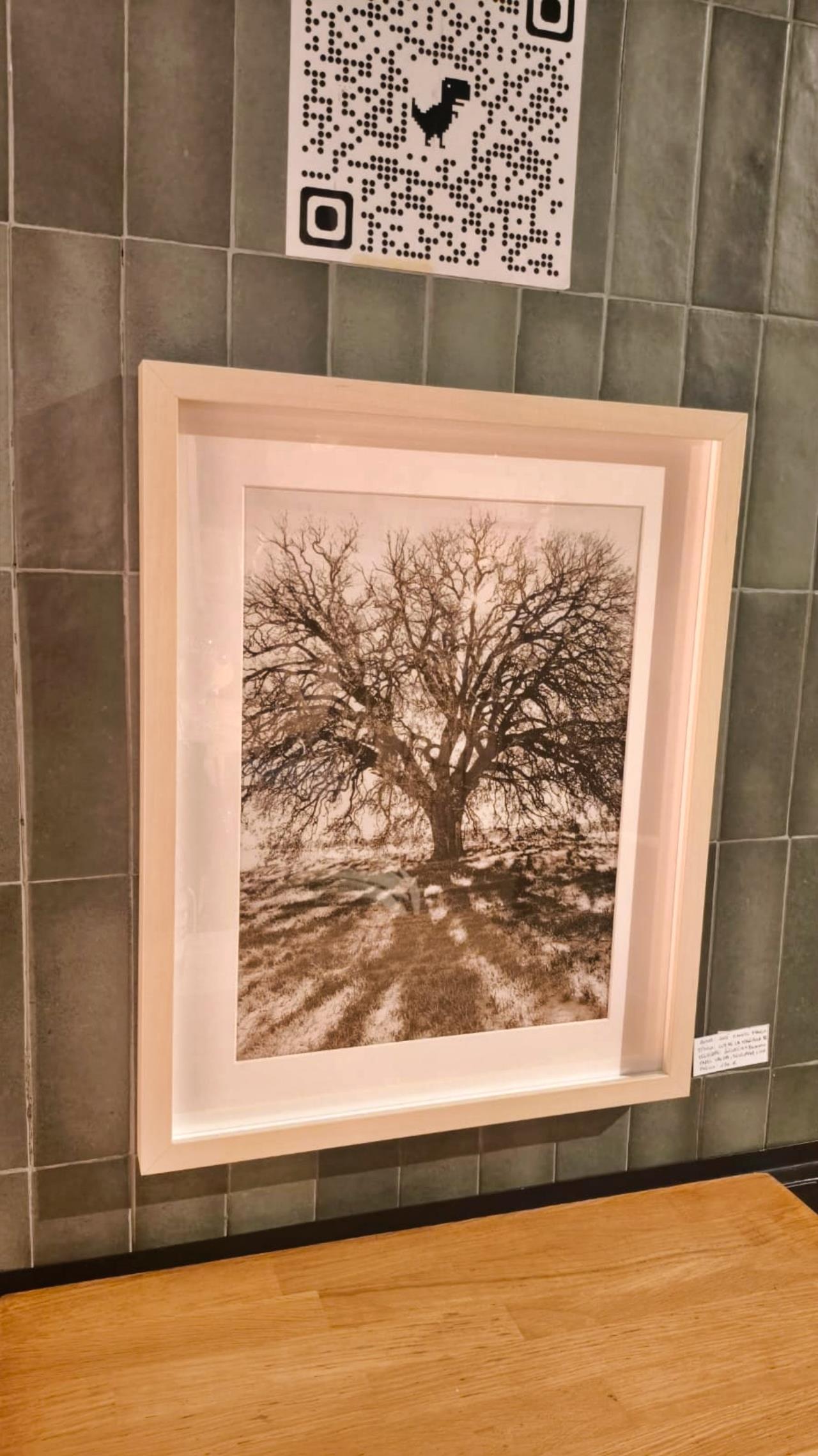 ob.imagen.Descripcion