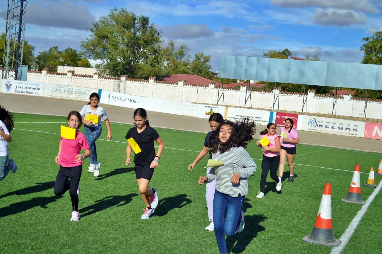 ob.imagen.Descripcion