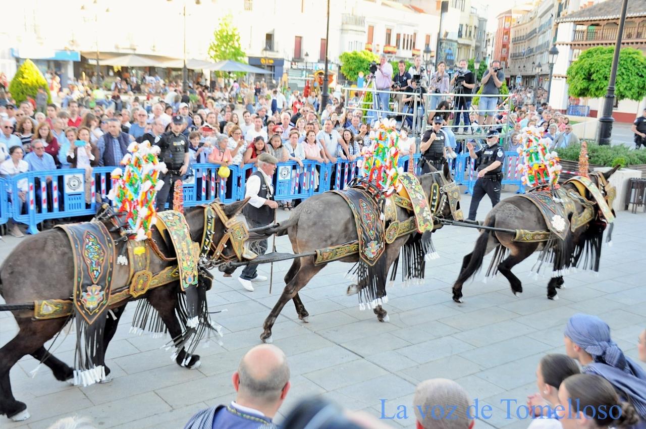 ob.imagen.Descripcion