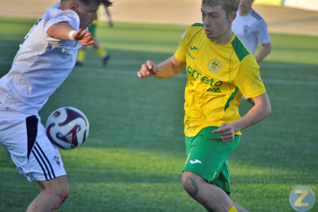 ob.imagen.Descripcion