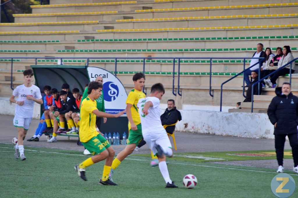 ob.imagen.Descripcion