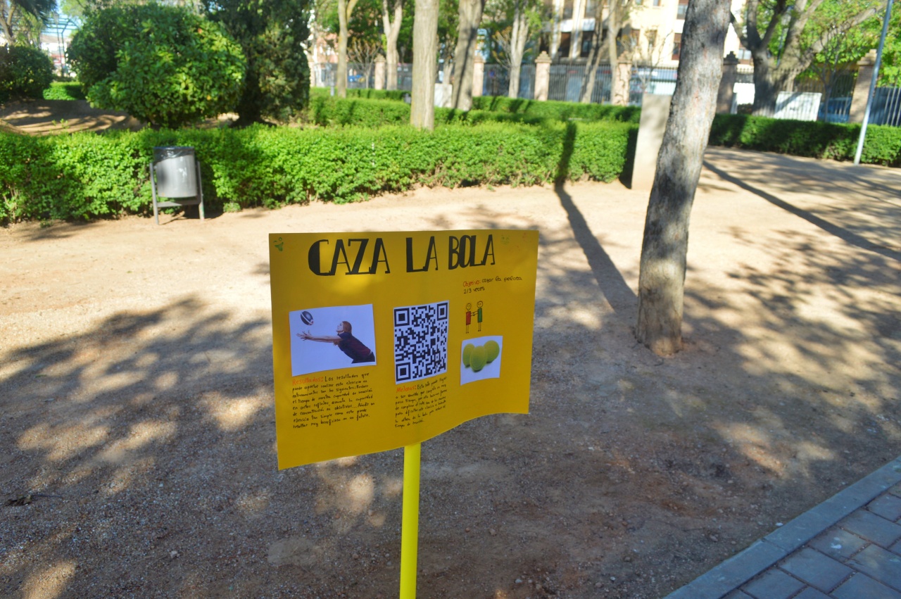 ob.imagen.Descripcion