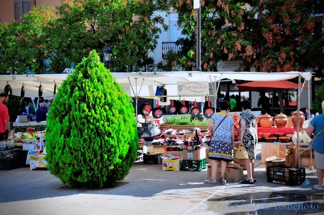 ob.imagen.Descripcion