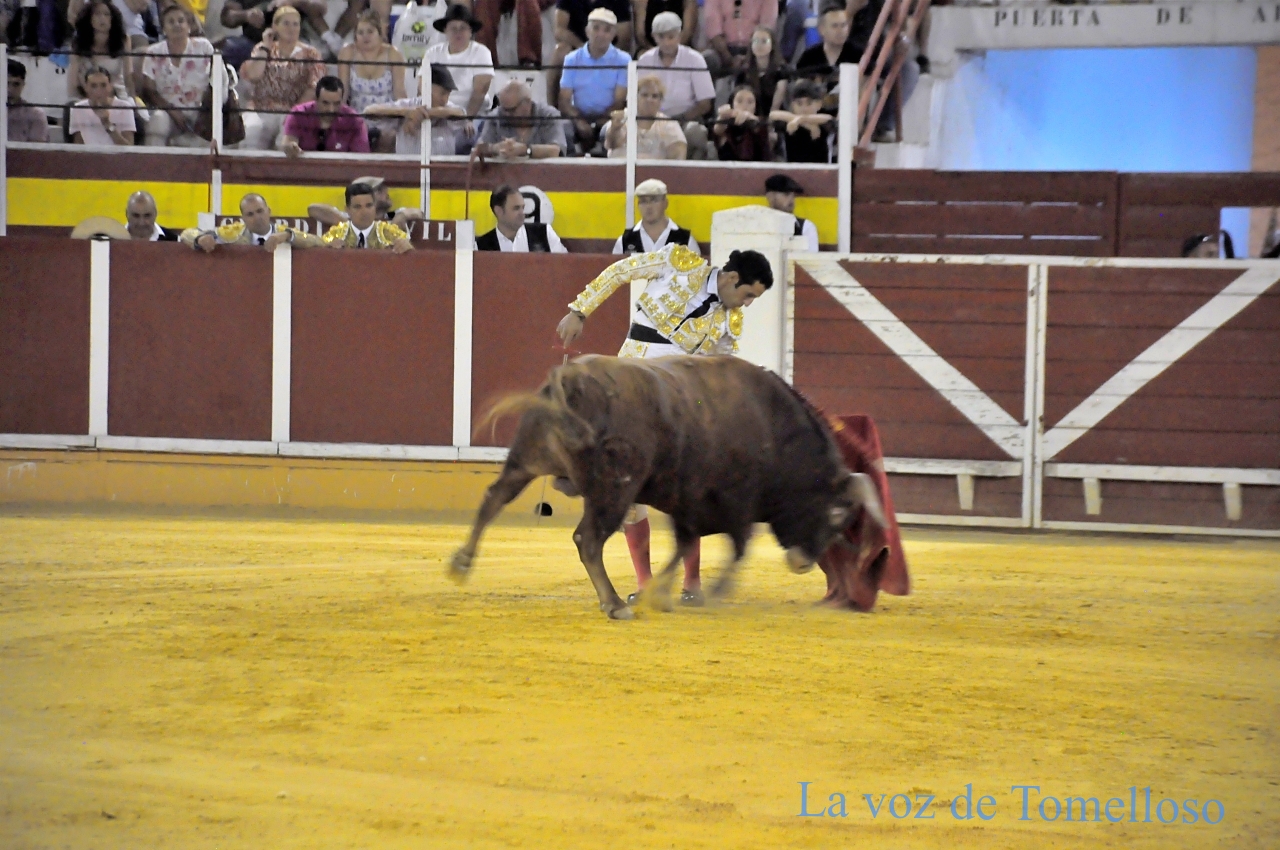 ob.imagen.Descripcion