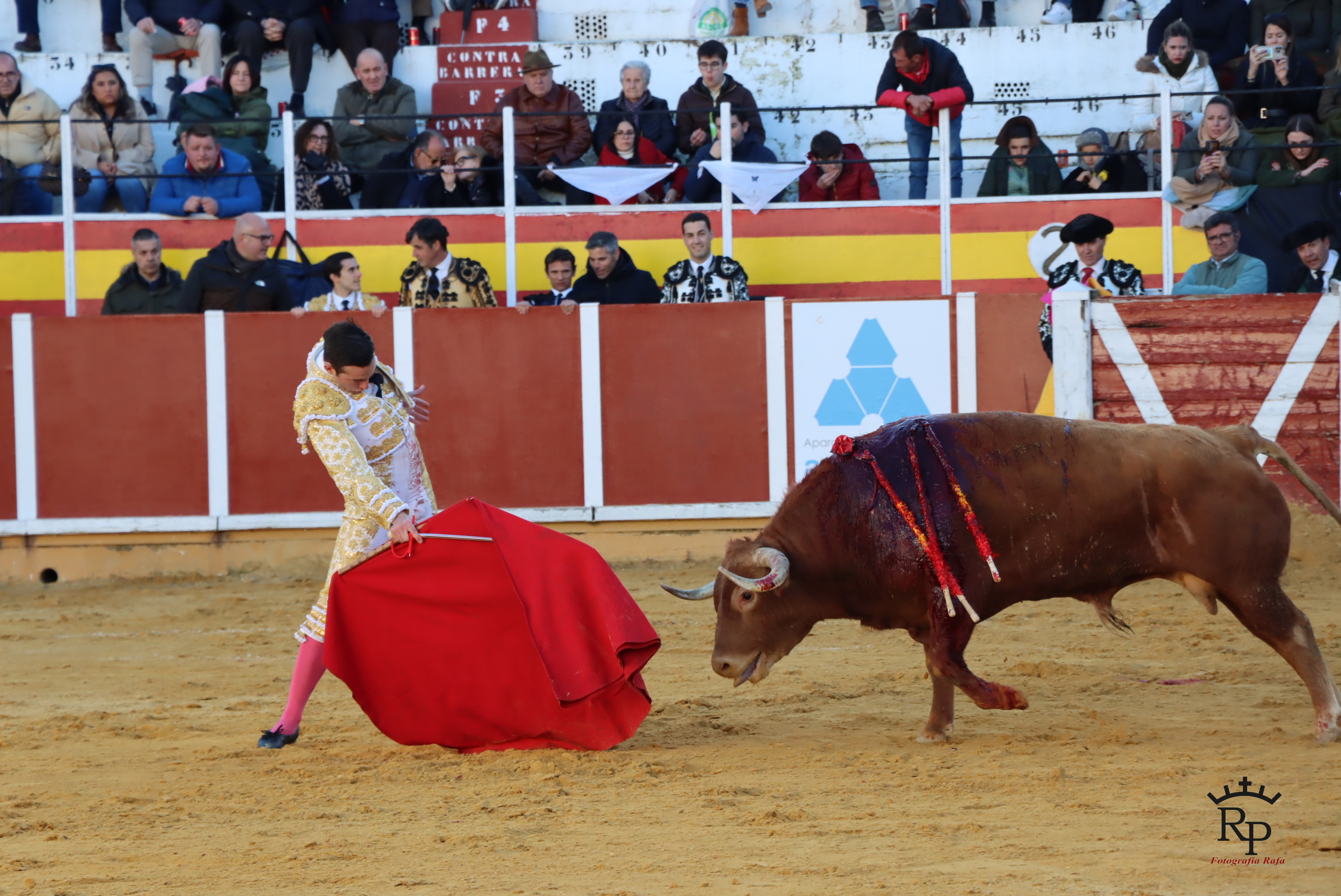 ob.imagen.Descripcion