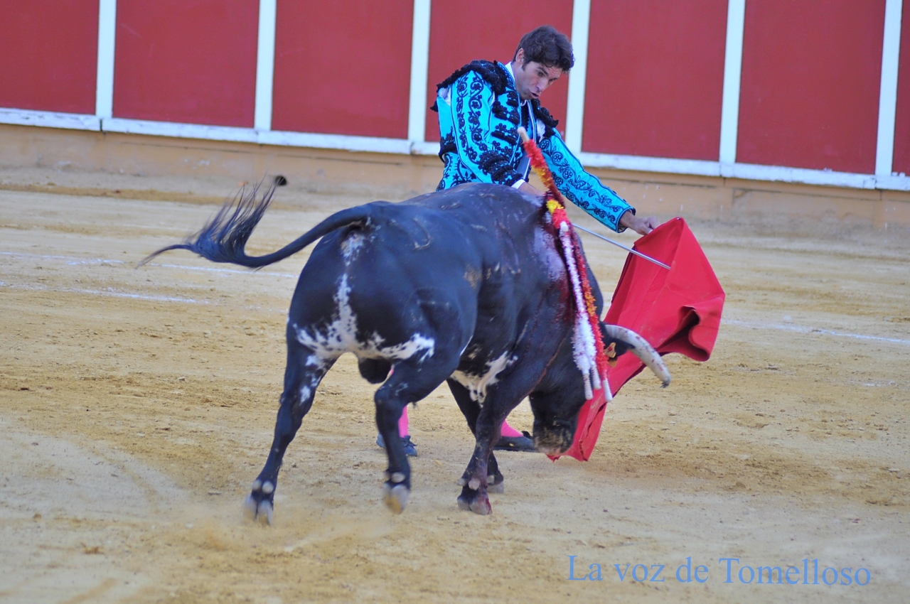 ob.imagen.Descripcion