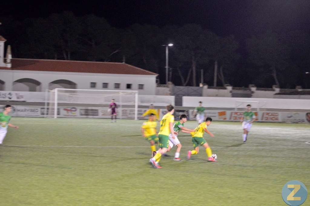 ob.imagen.Descripcion