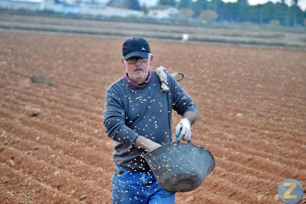 ob.imagen.Descripcion