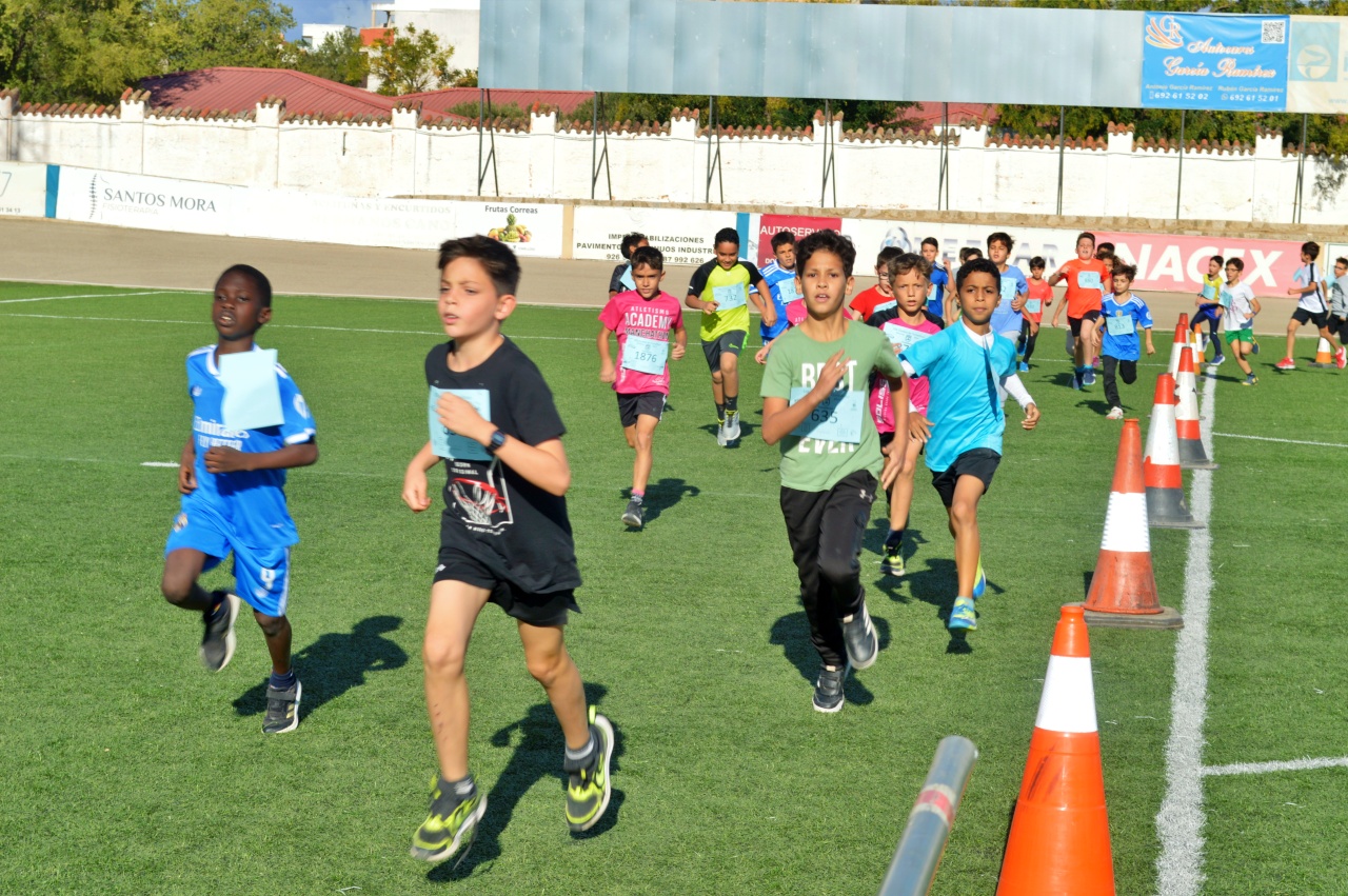 ob.imagen.Descripcion