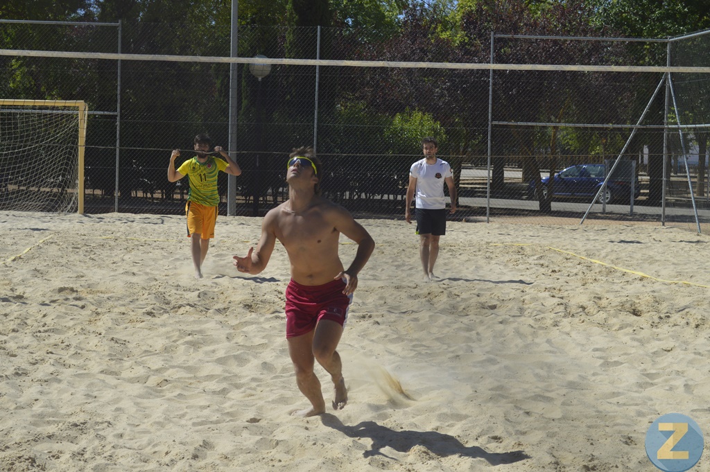 ob.imagen.Descripcion