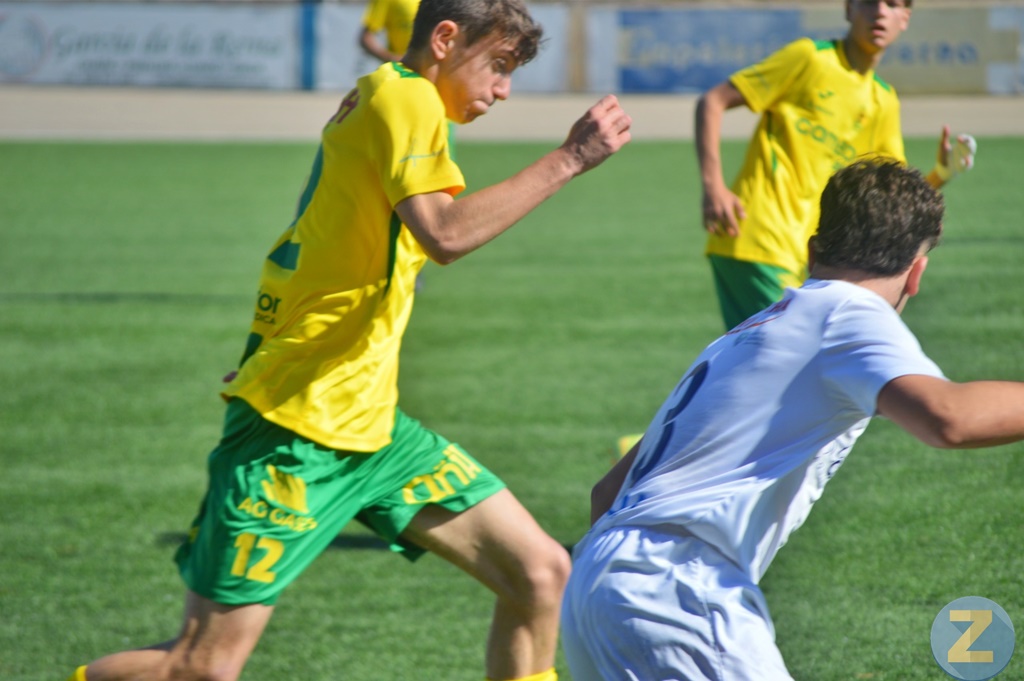 ob.imagen.Descripcion