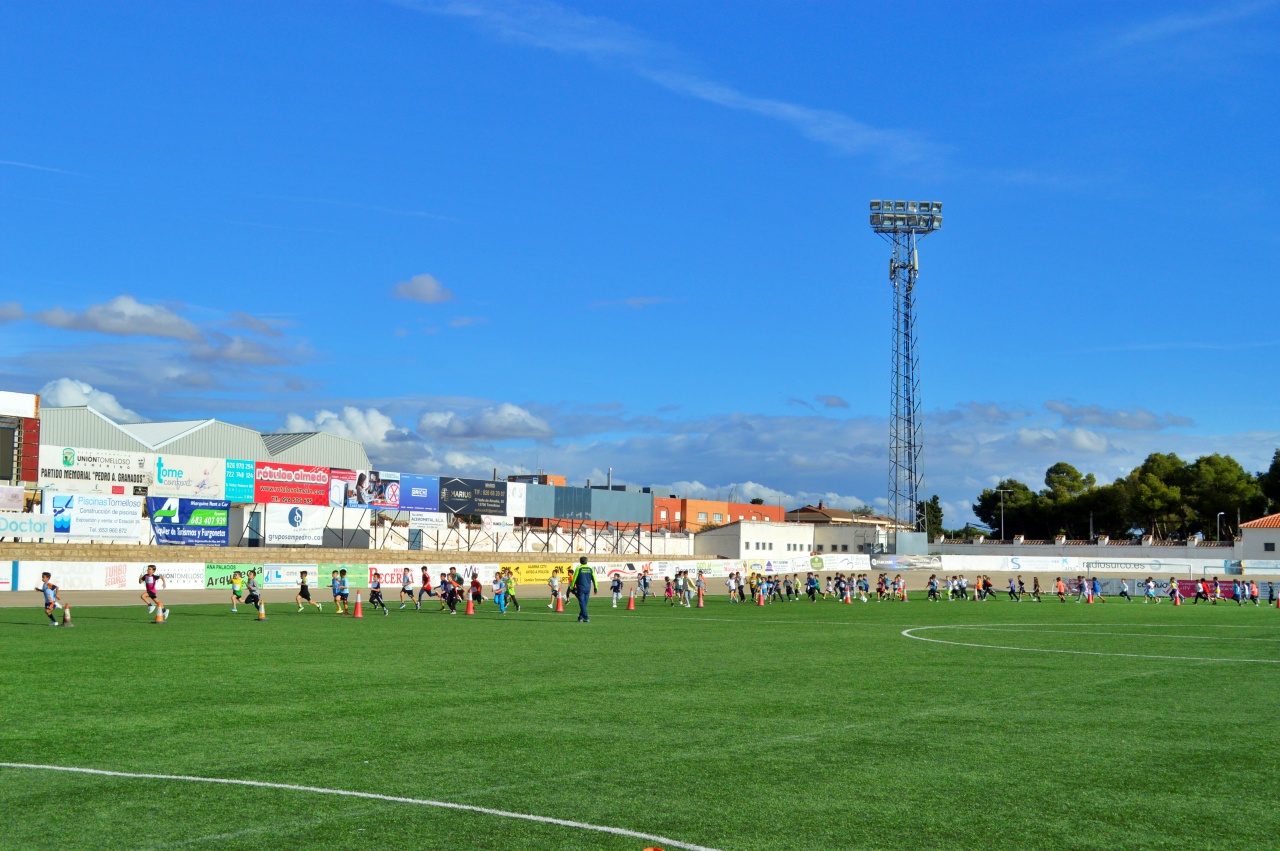 ob.imagen.Descripcion