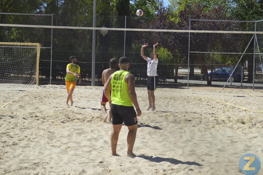 ob.imagen.Descripcion