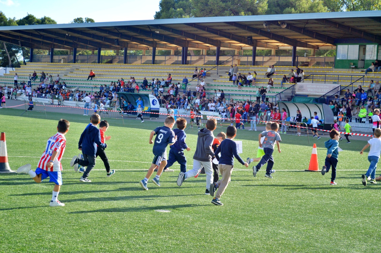 ob.imagen.Descripcion