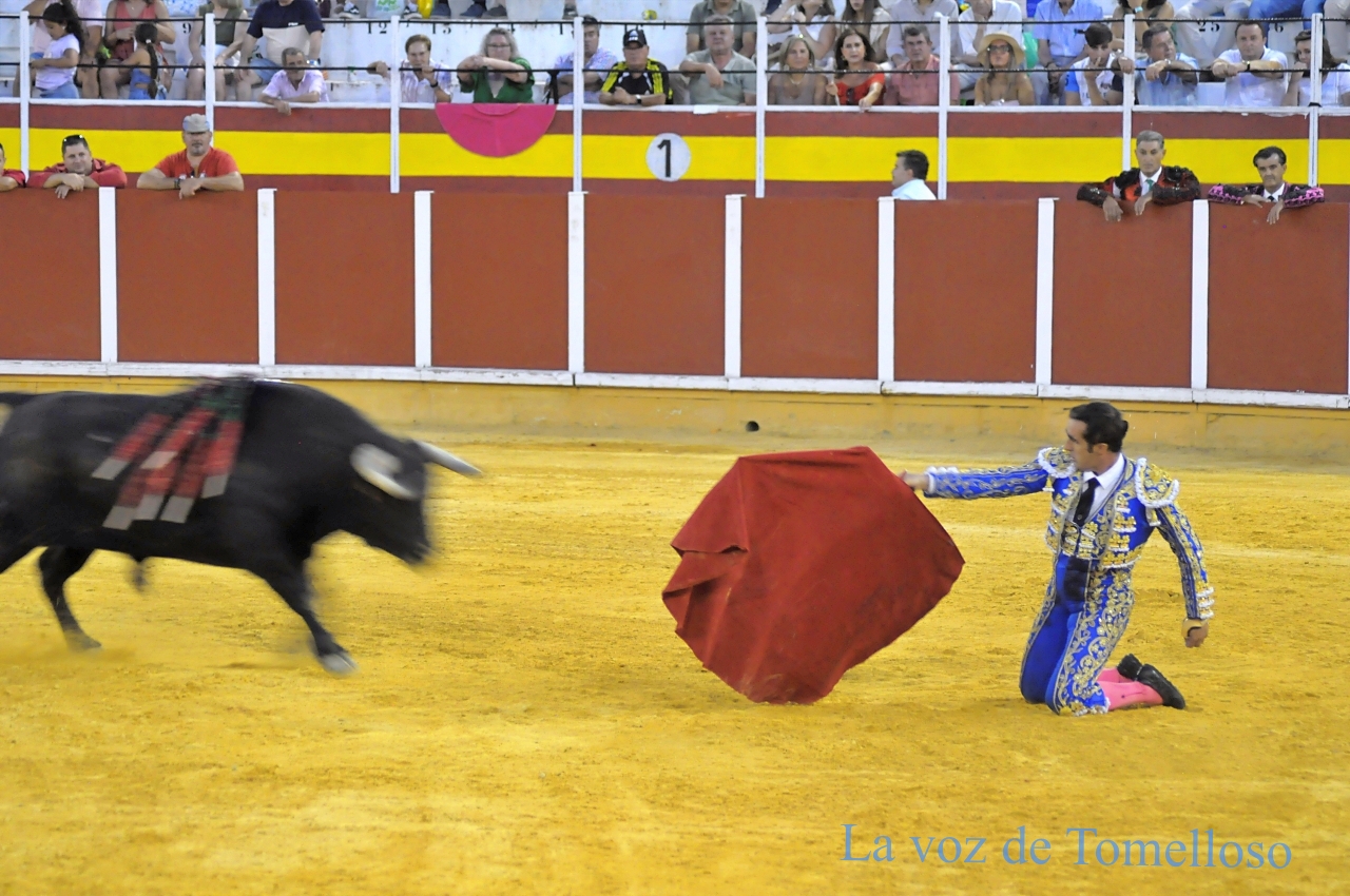 ob.imagen.Descripcion